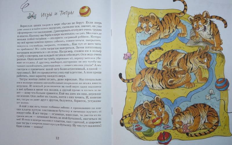 Иллюстрация 8 из 13 для Мои друзья тигры - Эдгард Запашный | Лабиринт - книги. Источник: Юлика-Юла