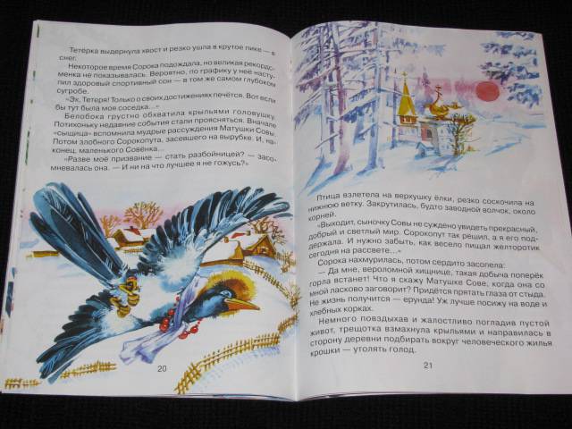 Иллюстрация 25 из 26 для Удачная находка Сороки-белобоки - Светлана Ананич | Лабиринт - книги. Источник: Nemertona