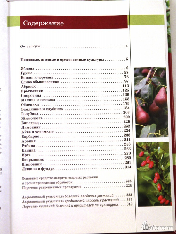 Иллюстрация 2 из 32 для Болезни и вредители плодовых растений. Атлас-определитель - Трейвас, Каштанова | Лабиринт - книги. Источник: Sysoy