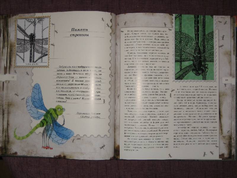 Иллюстрация 26 из 103 для Письма насекомых - Ольга Кувыкина | Лабиринт - книги. Источник: Трухина Ирина