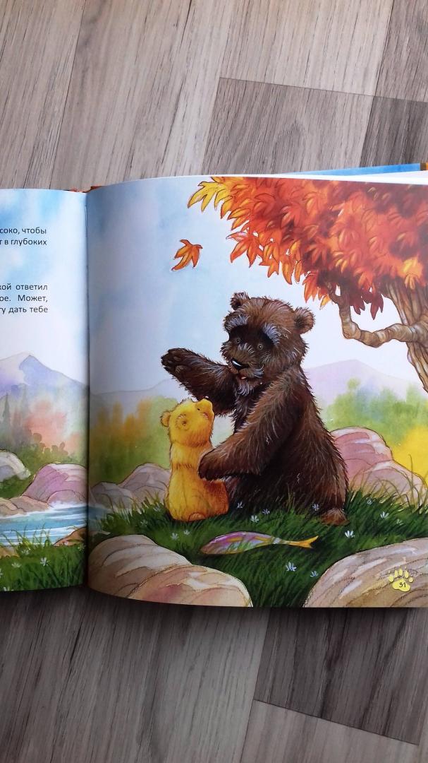 Иллюстрация 27 из 29 для Старые медведи не умеют лазать по деревьям - Хейди Ховарт | Лабиринт - книги. Источник: @bumazhniy_gorod