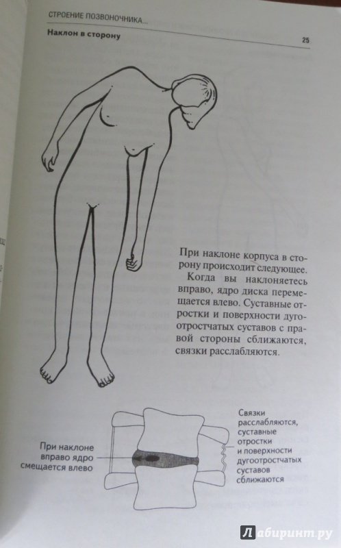 Иллюстрация 11 из 20 для Пилатес для спины - Робинсон, Фишер, Масси | Лабиринт - книги. Источник: Rey  Kristina