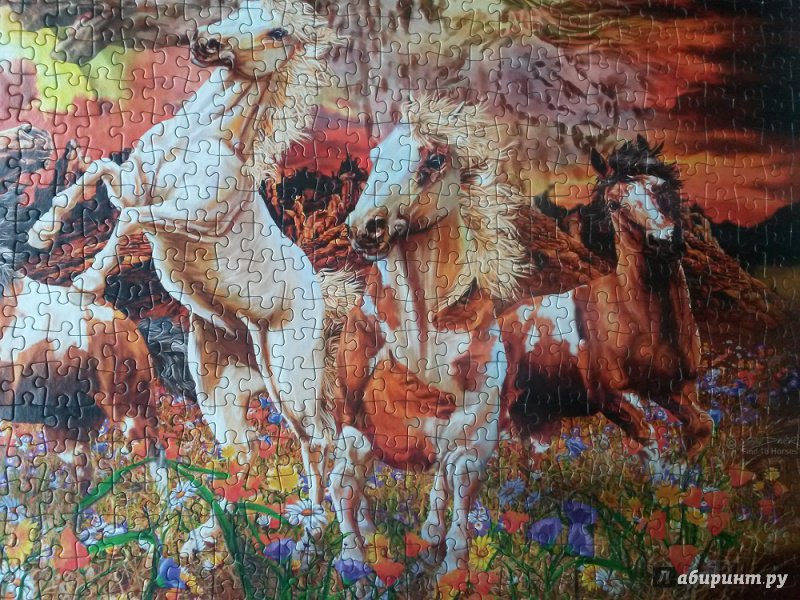 Иллюстрация 5 из 9 для Puzzle-1000 "Найди 16 лошадей" (79802) | Лабиринт - игрушки. Источник: Мурашова  Юлия
