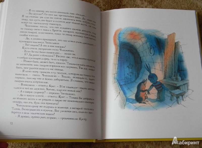 Иллюстрация 52 из 55 для Приключения Чиполлино - Джанни Родари | Лабиринт - книги. Источник: Раскова  Юлия
