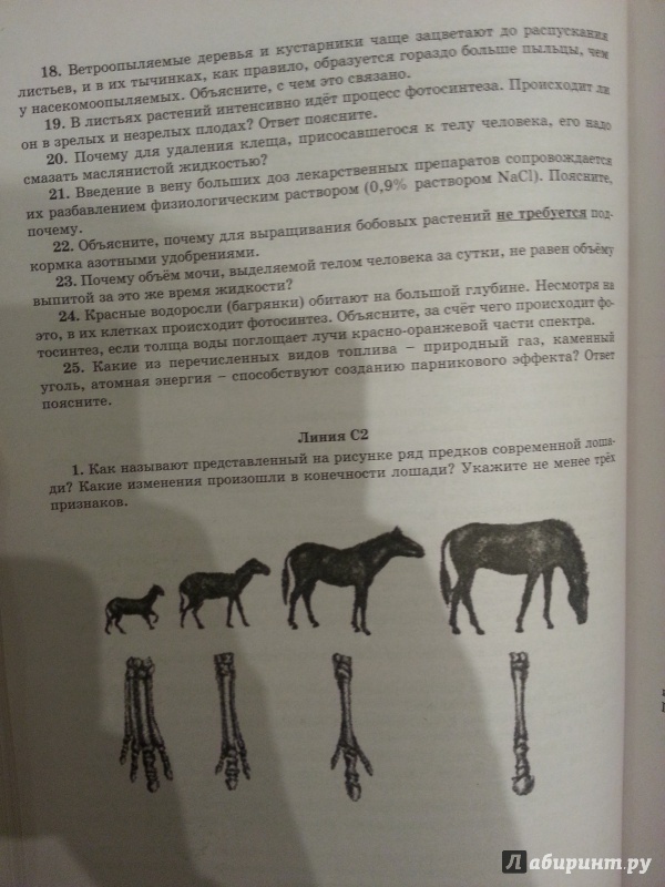 Иллюстрация 6 из 12 для Биология. Решение сложных заданий - Калинова, Никишова | Лабиринт - книги. Источник: Den