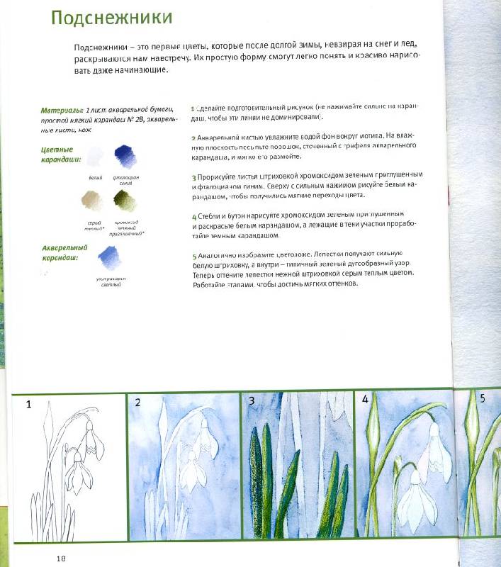 Иллюстрация 7 из 15 для Основы рисования: Цветы и бутоны - Кордула Керликовски | Лабиринт - книги. Источник: ТТ