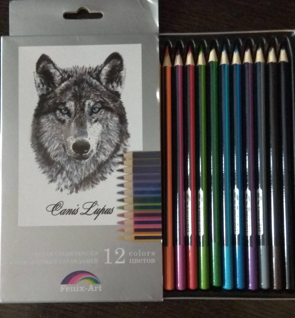 Иллюстрация 53 из 55 для Набор цветных карандашей, 12 цветов "Волк" (32870-12) | Лабиринт - канцтовы. Источник: Архипова  Елена