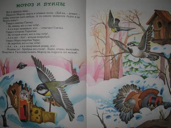 Иллюстрация 9 из 17 для Сказки лесной полянки - Валерий Кастрючин | Лабиринт - книги. Источник: Jazz