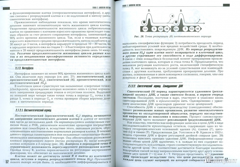 Иллюстрация 5 из 51 для Общая биология. Учебник - Виталий Сыч | Лабиринт - книги. Источник: Еrin