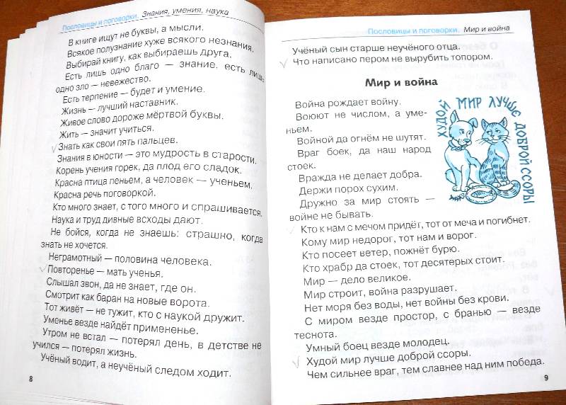 Иллюстрация 5 из 15 для Дружок: Пословицы, поговорки, крылатые выражения - Т. Давыдова | Лабиринт - книги. Источник: Полуночница