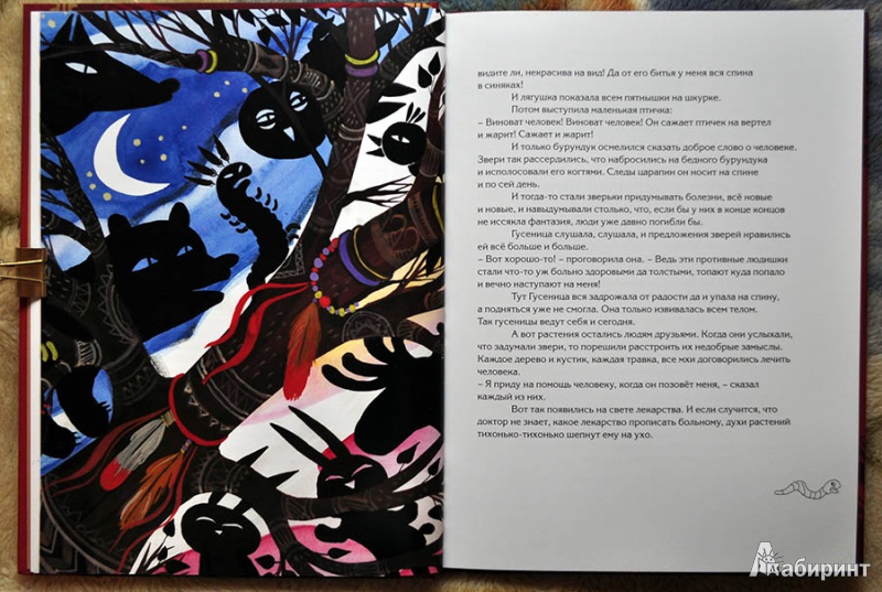 Иллюстрация 38 из 49 для Волшебные сказки индейцев | Лабиринт - книги. Источник: Раскова  Юлия