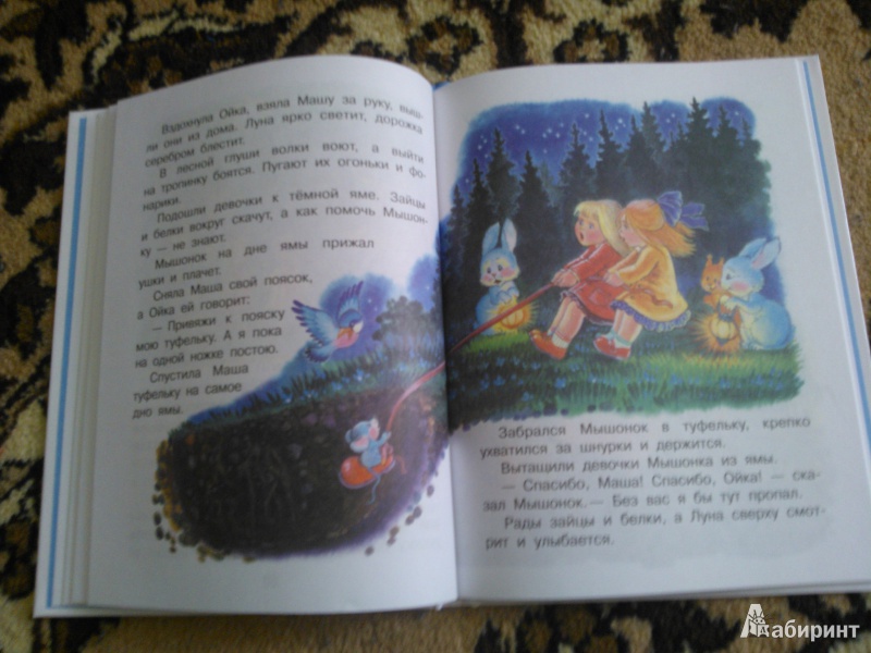 Иллюстрация 19 из 47 для Маша и Ойка - Софья Прокофьева | Лабиринт - книги. Источник: Вероника Руднева