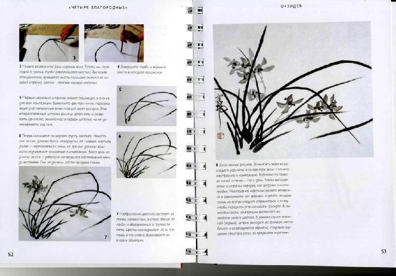 Иллюстрация 8 из 51 для Китайская живопись кистью - Вив Фостер | Лабиринт - книги. Источник: Юта