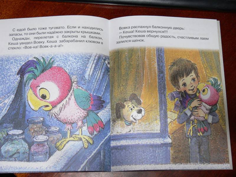Иллюстрация 29 из 30 для Возвращение блудного попугая - Курляндский, Караваев | Лабиринт - книги. Источник: Irbis