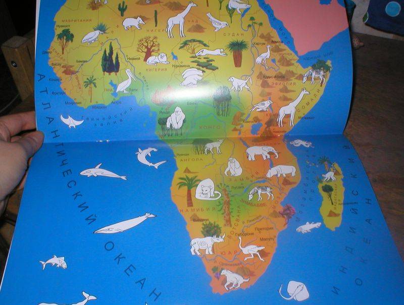 Иллюстрация 3 из 3 для В мире животных: Африка - Игорь Куберский | Лабиринт - книги. Источник: Черникова Наталья Вячеславовна