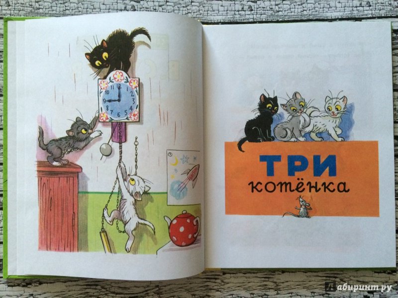 Иллюстрация 38 из 62 для Сказки и картинки - Владимир Сутеев | Лабиринт - книги. Источник: Лабиринт