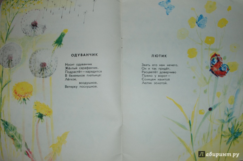 Иллюстрация 26 из 65 для Чудаки - Екатерина Серова | Лабиринт - книги. Источник: Книжный кот