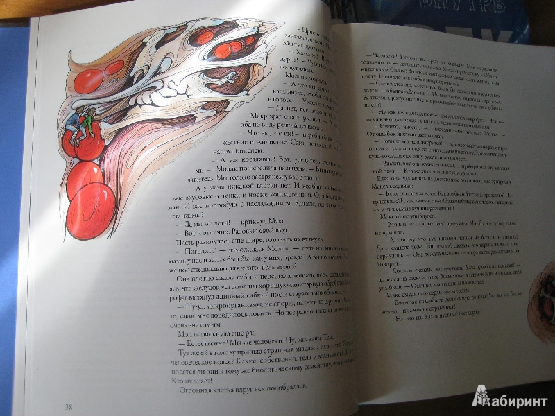 Иллюстрация 55 из 60 для Тайны анатомии - Кэрол Доннер | Лабиринт - книги. Источник: Макарова  Елена