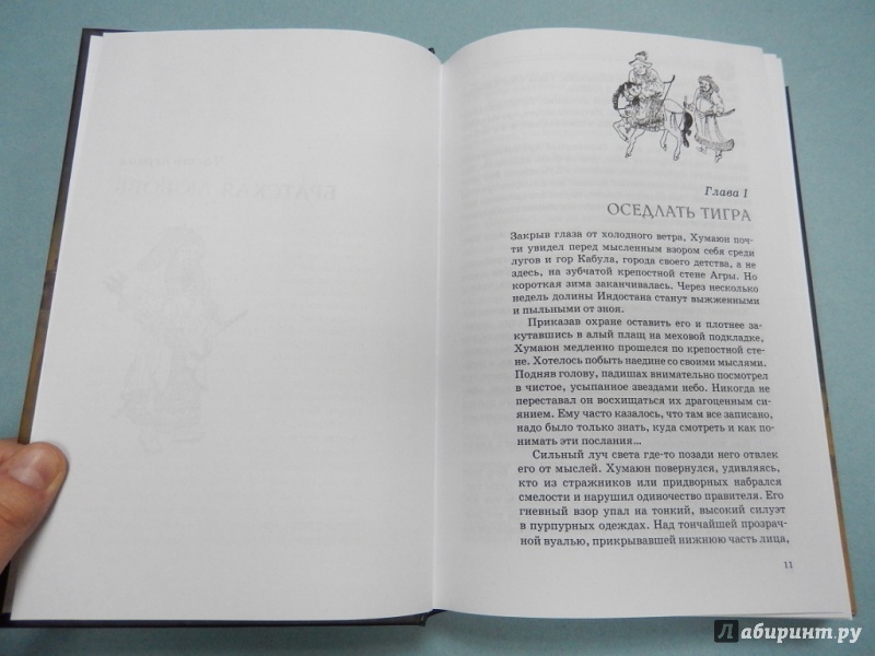Иллюстрация 7 из 8 для Великий Могол - Алекс Ратерфорд | Лабиринт - книги. Источник: dbyyb