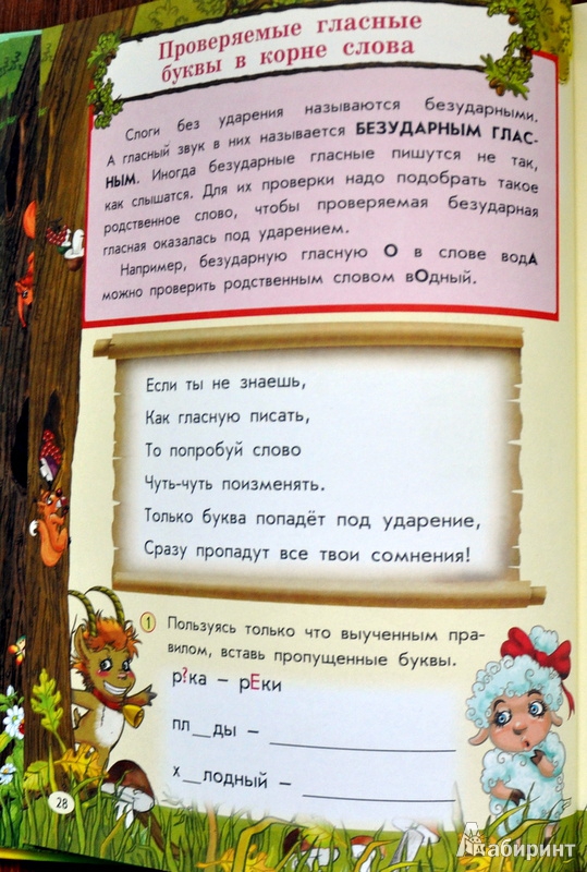 Иллюстрация 45 из 48 для Все правила русского языка для детей - Мария Фетисова | Лабиринт - книги. Источник: Ассоль
