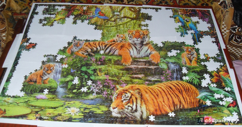 Иллюстрация 9 из 11 для Step Puzzle-2000 "В джунглях. Тигры" (84020) | Лабиринт - игрушки. Источник: Скар