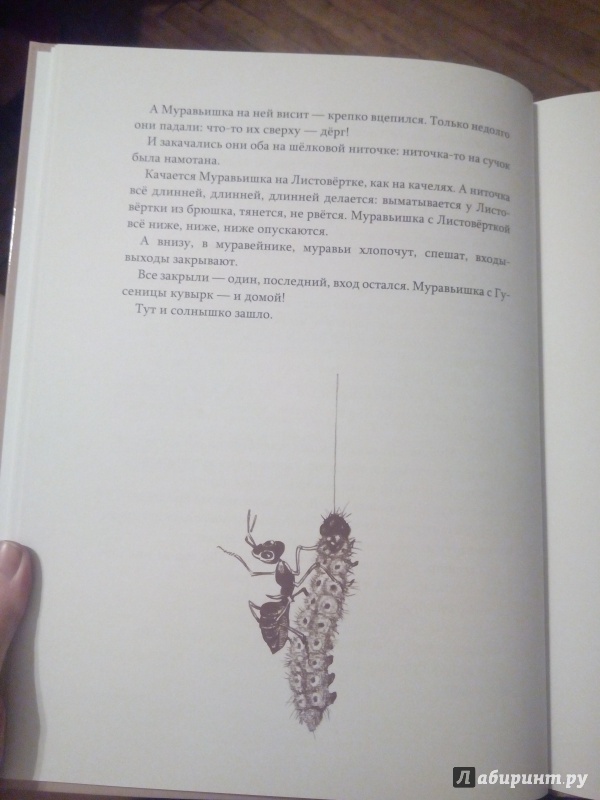 Иллюстрация 8 из 8 для Лесные сказки - Виталий Бианки | Лабиринт - книги. Источник: Доронина  Елена Юрьевна