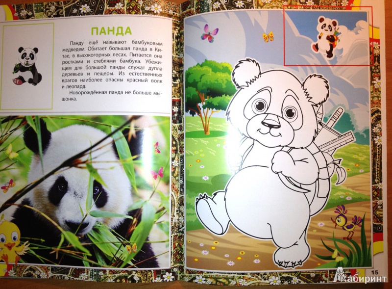 Иллюстрация 6 из 7 для EurAsia. Животный мир Европы и Азии | Лабиринт - книги. Источник: Лабиринт