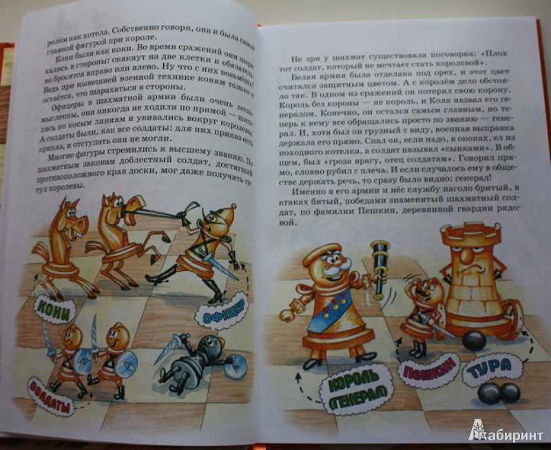 Иллюстрация 13 из 22 для Приключения шахматного солдата Пешкина - Ефим Чеповецкий | Лабиринт - книги. Источник: КНИЖНОЕ ДЕТСТВО