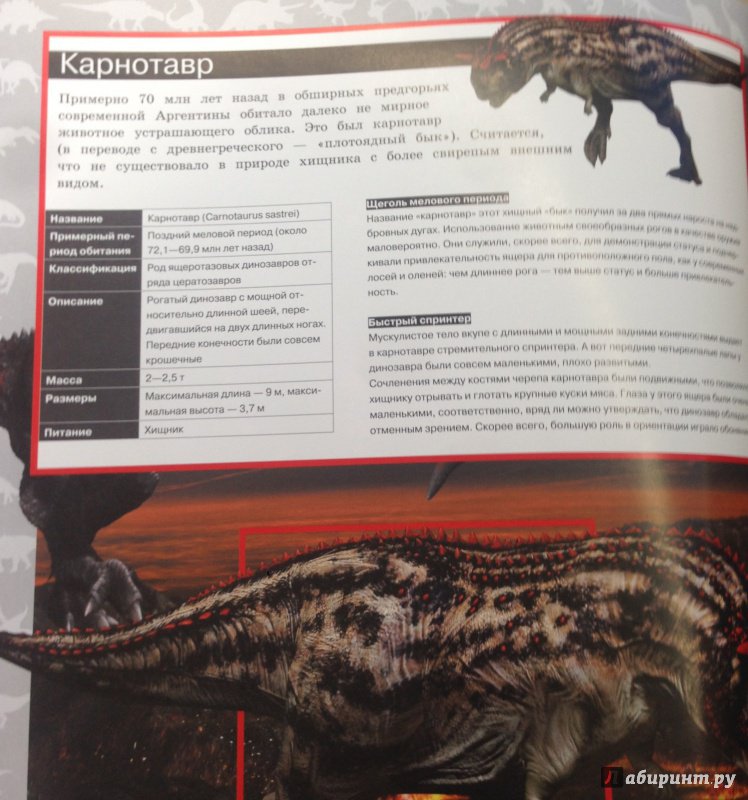 Иллюстрация 23 из 32 для Динозавры - Филиппова, Рощина | Лабиринт - книги. Источник: Савчук Ирина