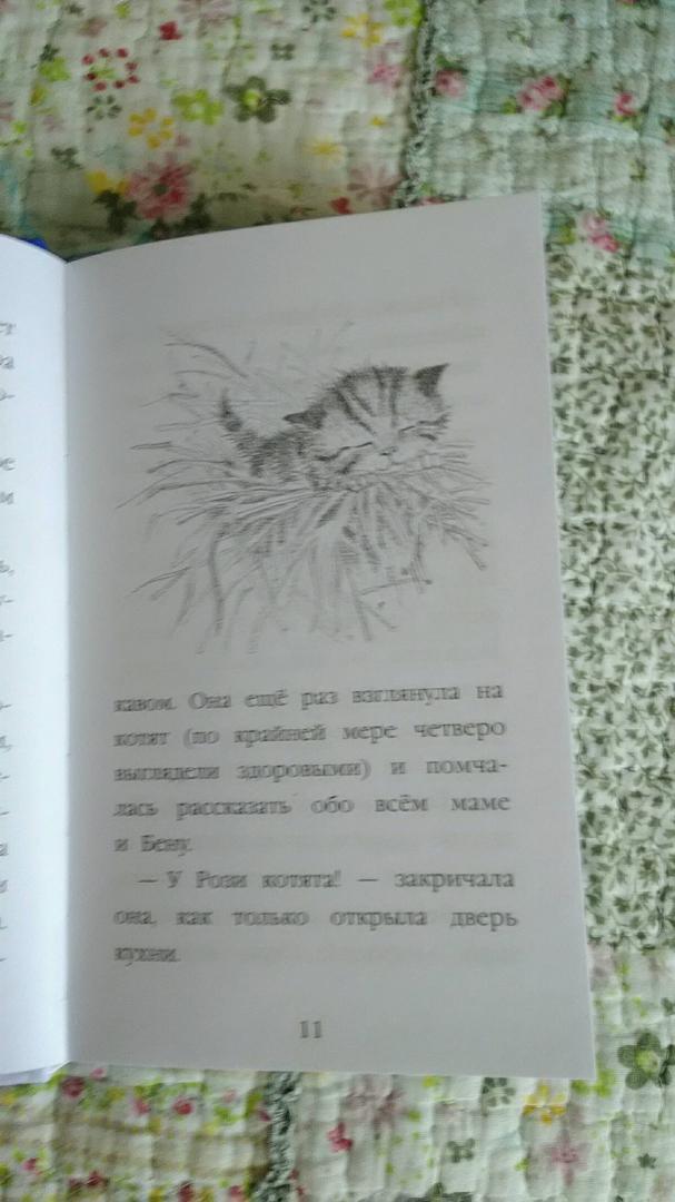 Иллюстрация 74 из 81 для Котёнок Пушинка, или Рождественское чудо - Холли Вебб | Лабиринт - книги. Источник: Лабиринт