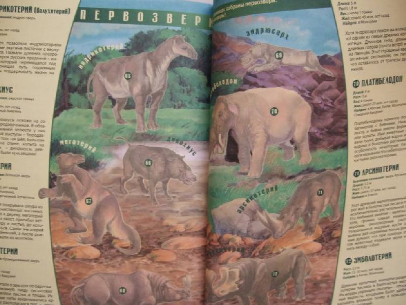 Иллюстрация 2 из 21 для Динозавры и другие доисторические животные. Атлас с наклейками - Наталья Преображенская | Лабиринт - книги. Источник: Klyukofka