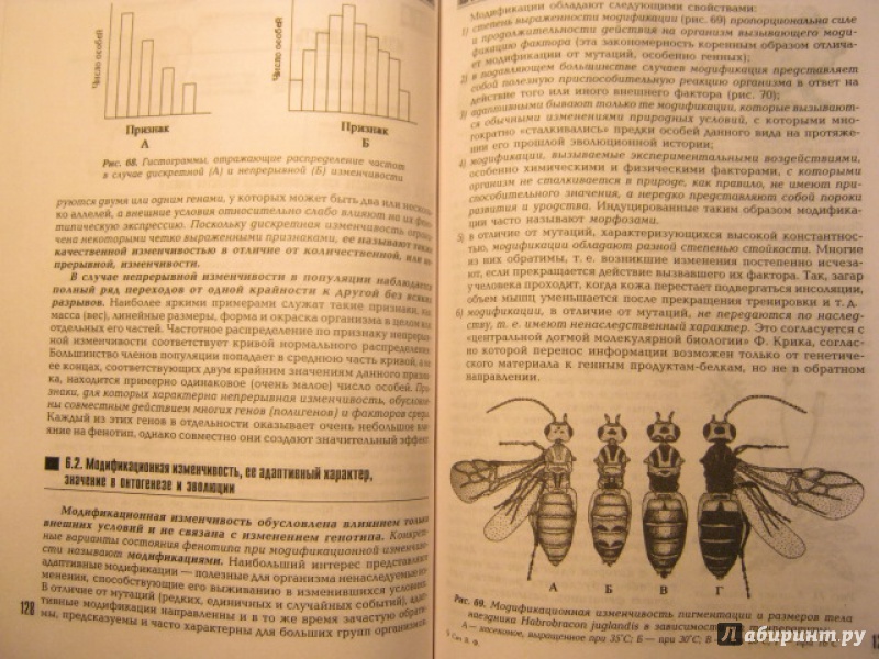 Иллюстрация 21 из 51 для Общая биология. Учебник - Виталий Сыч | Лабиринт - книги. Источник: Евгения39