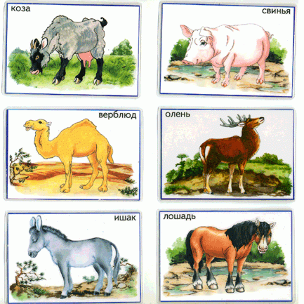 Иллюстрация 2 из 11 для Лото: Домашние животные 686 (350х500) | Лабиринт - игрушки. Источник: РИВА
