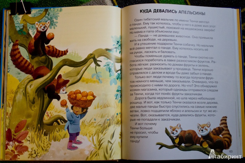 Иллюстрация 9 из 36 для Веселые истории о животных - Пьеранджела Фьорани | Лабиринт - книги. Источник: nata_