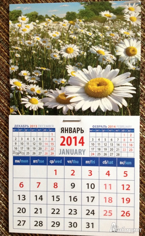 Иллюстрация 3 из 4 для Календарь на 2014 год "Ромашки". Магнитный (20414) | Лабиринт - сувениры. Источник: NH