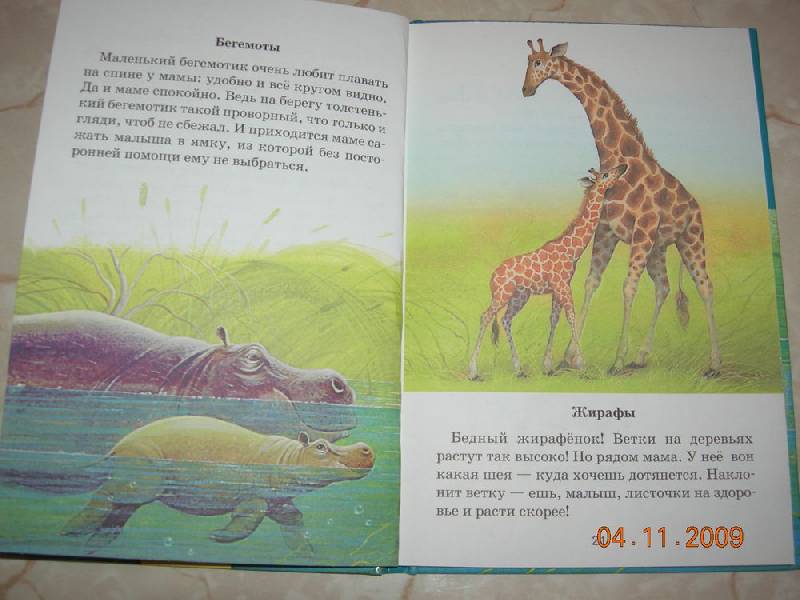 Иллюстрация 8 из 12 для Звери и зверята - Юрий Дмитриев | Лабиринт - книги. Источник: Соловей