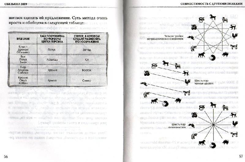 Иллюстрация 2 из 7 для Обезьяна. Судьба и фэн-шуй: ваш астропрогноз на 2009 год - Лиллиан Ту | Лабиринт - книги. Источник: Zhanna
