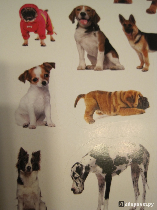 Иллюстрация 9 из 14 для 100 наклеек. Любимые собаки | Лабиринт - книги. Источник: Наталья