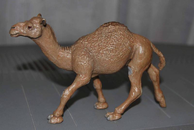 Иллюстрация 2 из 2 для Одногорбый верблюд (222429) | Лабиринт - игрушки. Источник: sirafima