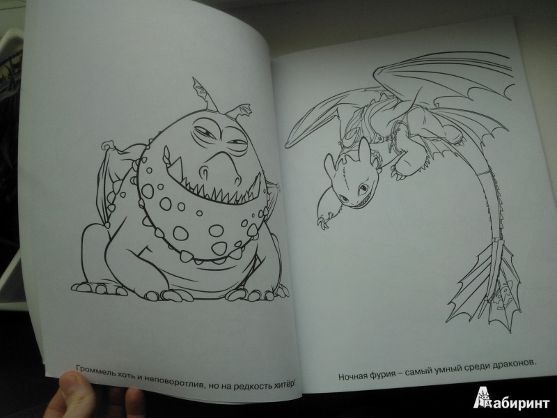 Иллюстрация 3 из 7 для Мультраскраска. Как приручить дракона | Лабиринт - книги. Источник: Вероника Руднева