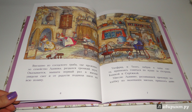 Иллюстрация 11 из 27 для Зимняя история - Джилл Барклем | Лабиринт - книги. Источник: Lucid Dream