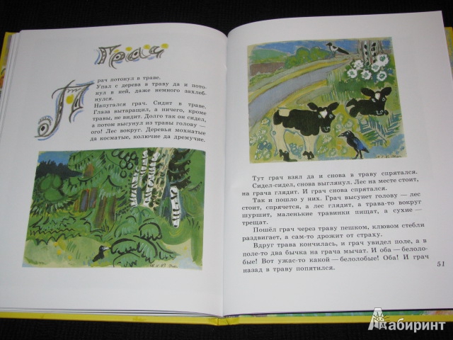 Иллюстрация 56 из 73 для Бабочки - Юрий Коваль | Лабиринт - книги. Источник: Nemertona