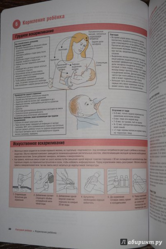 Иллюстрация 3 из 10 для Наглядная педиатрия - Миалл, Рудольф, Левен | Лабиринт - книги. Источник: ВраЧиталла