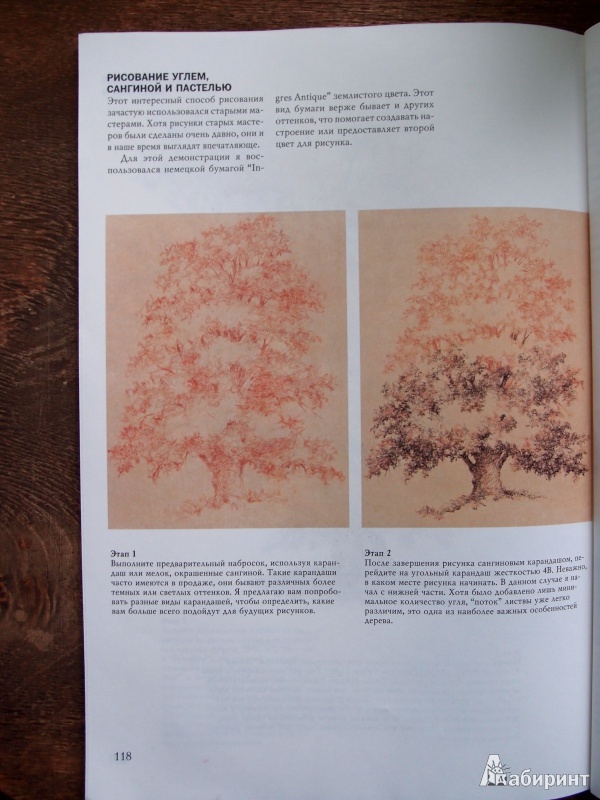 Иллюстрация 6 из 61 для Деревья - Стенли Молцмен | Лабиринт - книги. Источник: Kary