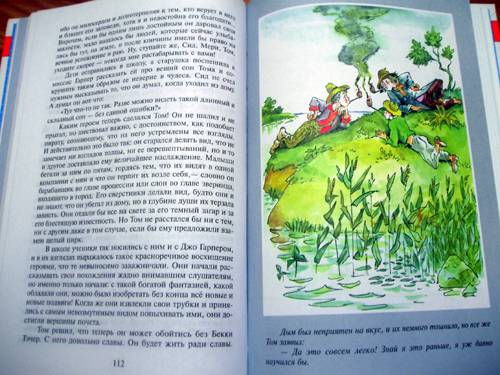 Иллюстрация 26 из 39 для Приключения Тома Сойера - Марк Твен | Лабиринт - книги. Источник: Galia
