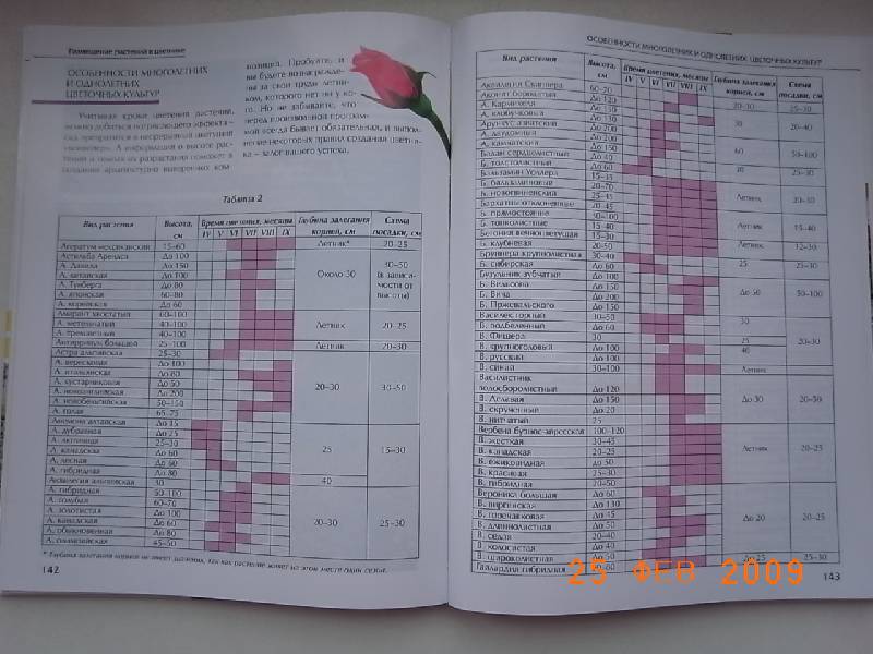 Иллюстрация 1 из 24 для Создаем красивый цветник: Принципы подбора растений. Основы проектирования - Ирина Бочкова | Лабиринт - книги. Источник: NataGold