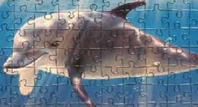 Иллюстрация 8 из 12 для Puzzle-500 "Дельфины" (В-51014) | Лабиринт - игрушки. Источник: unnamed