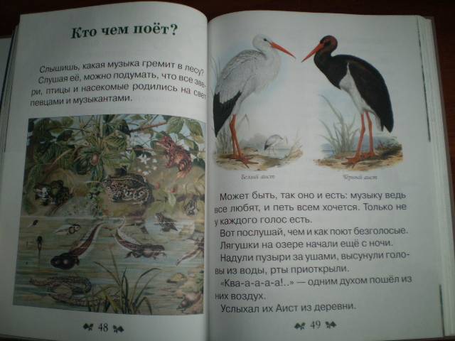 Иллюстрация 15 из 40 для Сказки и рассказы о животных - Виталий Бианки | Лабиринт - книги. Источник: С  М В