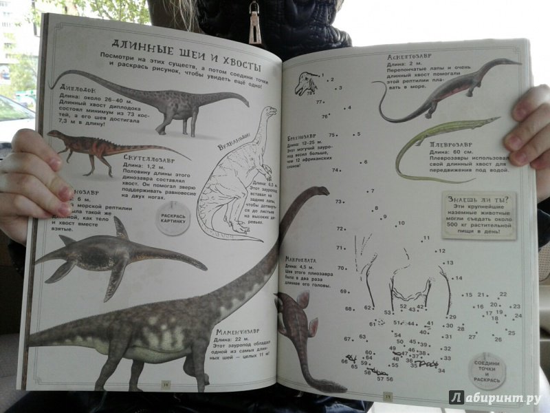 Иллюстрация 12 из 42 для Занимательная зоология. Динозавры - Полли Чизман | Лабиринт - книги. Источник: Ксения