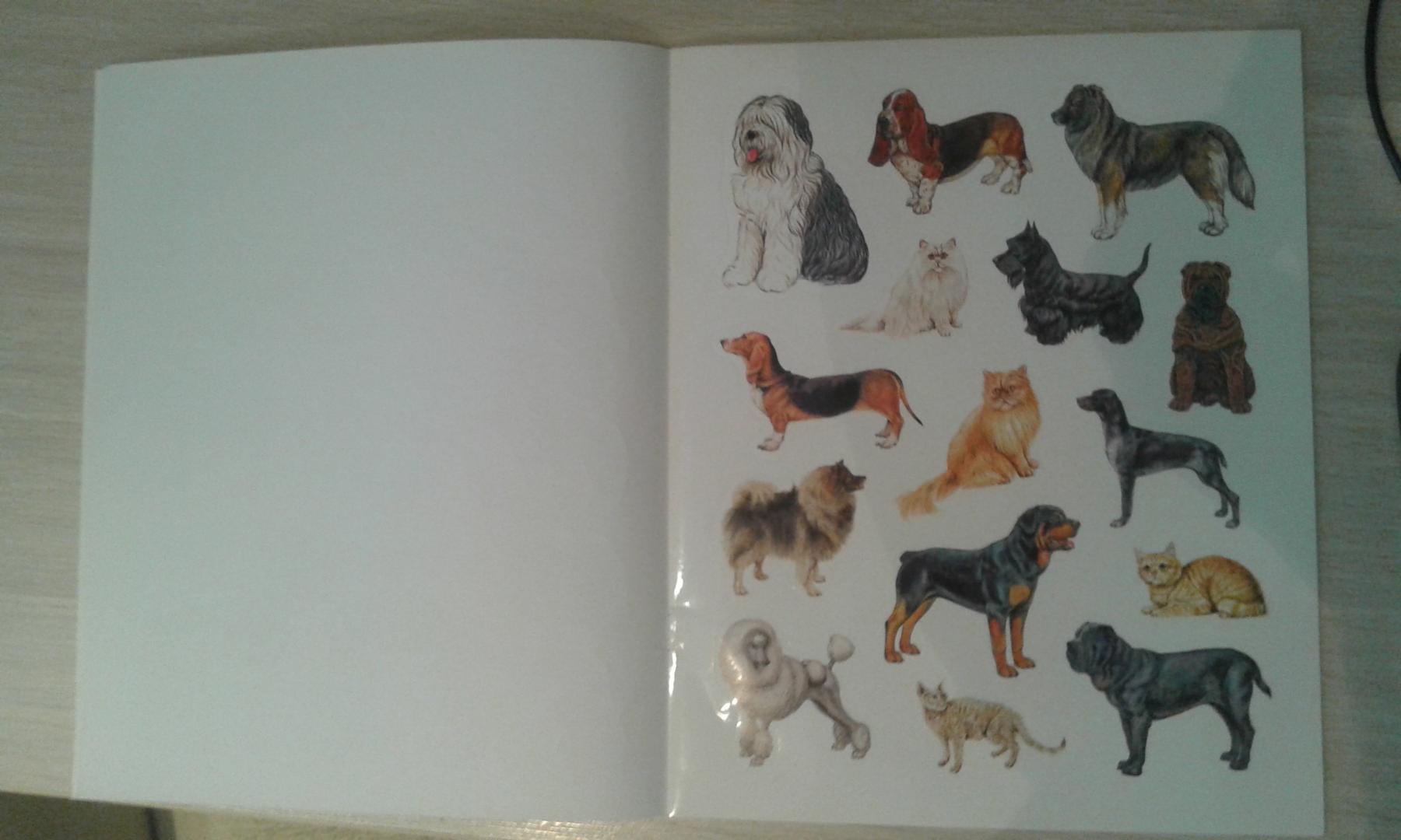 Иллюстрация 25 из 26 для Большая книга развивающих наклеек. Кошки и собаки | Лабиринт - книги. Источник: Юлия